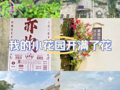 -赤坎·广东华侨国际旅游度假区