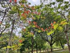 -中国移动南方基地