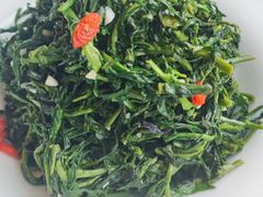 红果枸杞苗-清真·宁夏印象·盐池滩羊肉体验店(江宁路店)