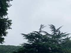 -河南省黄河迎宾馆