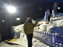 -世界之窗阿尔卑斯冰雪世界