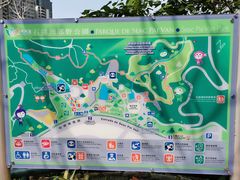 -石排湾郊野公园
