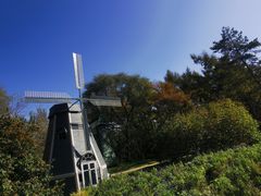 -黑龙江省森林植物园