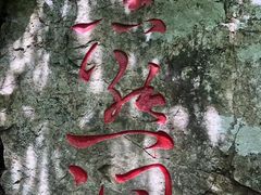 -本溪汤沟绿石谷森林公园