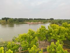 -东郊湿地公园