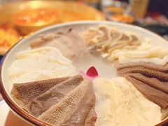 川门毛肚七绝-新哥老官·畅吃123·美蛙世界(苏宁广场店)