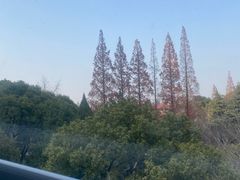 -狼山风景名胜区