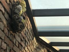 -VOYAGE COFFEE(北锣鼓巷店)