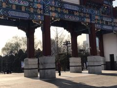 -迎泽公园