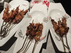 -鼎原力量东北吊炉烧烤(临河街店)