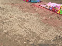 -秀丽东方