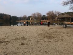 -上海佘山世茂艾美酒店