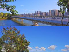 -深圳人才公园
