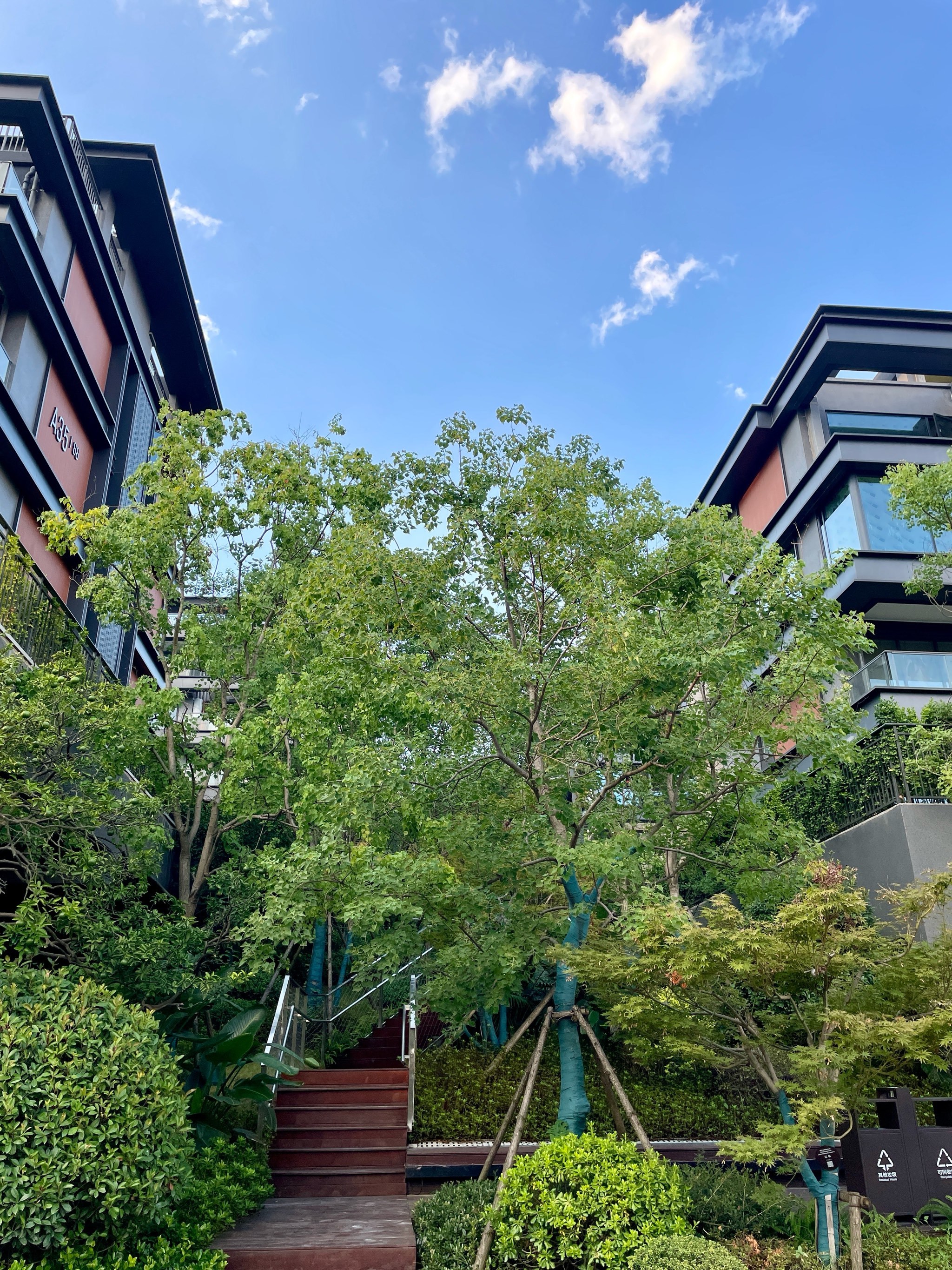 在金地湖山樾提前体验一把住在湖山边的舒服日子