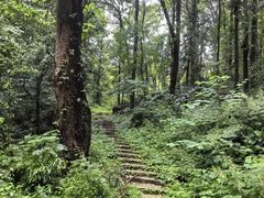 -素山寺森林公园