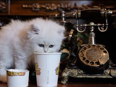 -NINES推理馆(曲江公馆店)