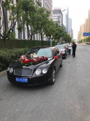 -蚂蚁婚车