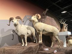 -陕西自然博物馆