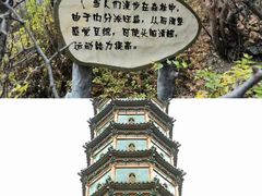 -香山公园