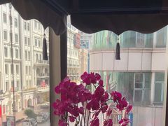 -新雅粤菜馆(南京东路店)