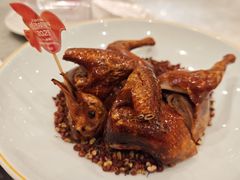 -朱记乳鸽王·非遗石岐乳鸽·全鸽宴(大兴旗舰店)