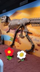 -北京科学中心儿童乐园