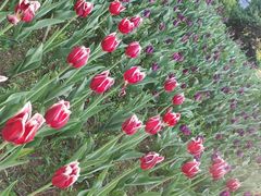 -长春公园(普阳街道)