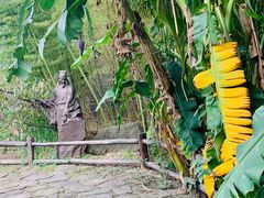 -驿舍·民國老营房院子私房菜(科学会堂店)