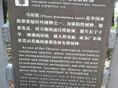 -广州市流溪河国家森林公园