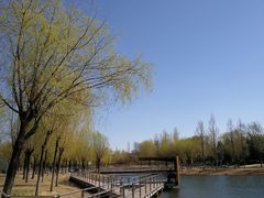 -中关村生命科学园