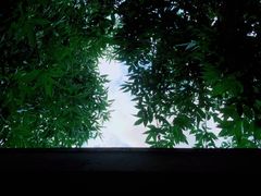 -Santoor 萨都里印度餐厅(北锣鼓巷店)