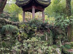 -天一阁博物院