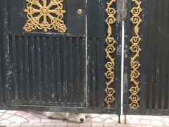 -张乐平故居