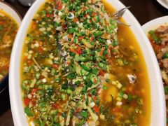 飞虹鱼-飞虹鱼馆(春华路店)