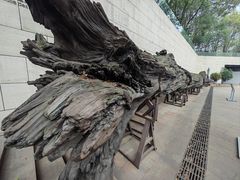 -金沙遗址博物馆