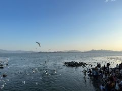 -深圳湾公园(南山区)