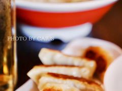 煎饺子-拉面莊夢語＆中华料理八椿
