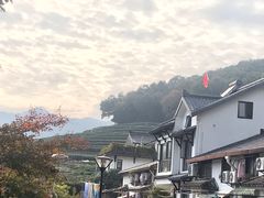 -龙井村