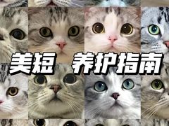 -小猫来了·猫舍(红山六九七九店)