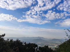 -树山生态村