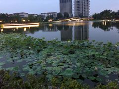 -西海子公园