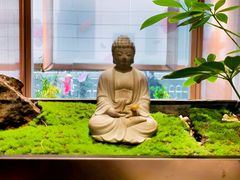 -俏立方·15年新楚菜
