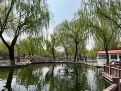 -丰台花园