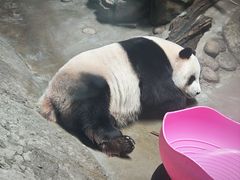 -五龙山野生动物王国