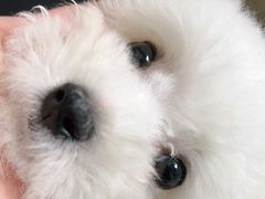 -宠颐生宠物医院外科·内科·皮肤科·影像科(石龙店)