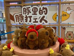 -凯德MALL(西直门店)