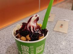 -Salud撒露欧洲冻酸奶(五道口购物中心店)