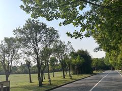 -上海吴淞炮台湾国家湿地公园