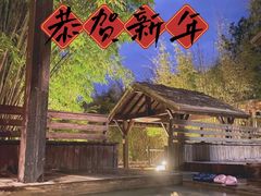 -崇阳三特浪口温泉