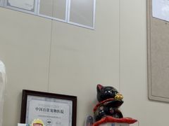 -美联众合爱康动物医院•复杂内科•肿瘤科•牙科•腔镜诊疗中心